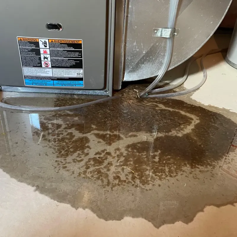 Appliance Leak Cleanup in Mount Vernon, TX