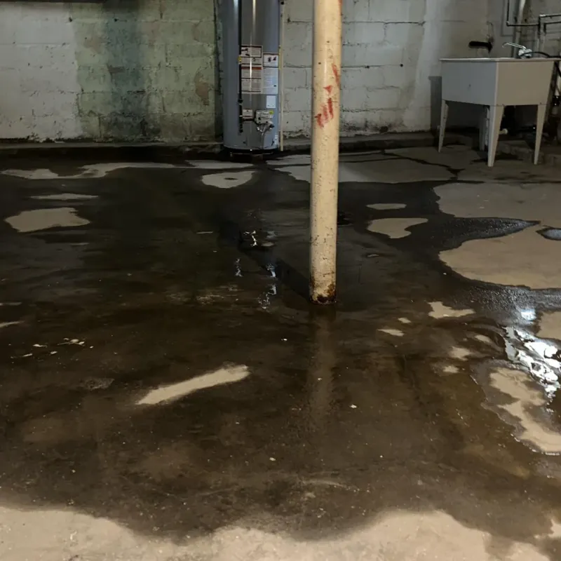 Emergency Water Extraction And Removal in Mount Vernon, TX